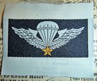 Lot Of 5 Original Patch - Bevo Weave - Airborne Wings - Vietnam War  C 498