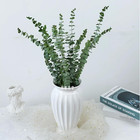 12 Pcs Eucalyptus For Shower 17  Natural Fresh Hanging Eucalyptus Stems real Euc