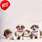15pc Puppy Id Collars 15 Color Adjustable Soft Whelping Bands Newborn Dogs - Us
