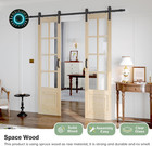 Preassembled 42x84  double 21x84  Inch Clear Glass French Interior Door With 7ft