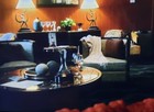  The Magicians Tv Series Prop- Screenused Nave Hotel Blanket Season 5 Episode 12