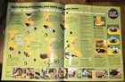 1987 Al-ko Kober Shredders Dealer Advertising Brochure 