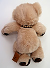 First And Main 1804 Newton Teddy Bear 8  Tall