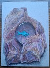 Aceo Original Surreal Realistic Colored Pencil  Scientific Illustration