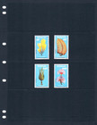  4 05 Scott Value - 1988 Senegal Underwater Flowers  hard To Find  Cv Mnh Nh Umm