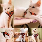 Adjustable Cat Harness Vest With Leash For Puppy Dogs - Durable Polyester