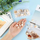 Shells Decoration 150pcs Mixed Shells conch natural Shells For Crafts With Hole