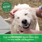 Greenies Original Teenie Natural Dental Care Dog Treats  54 Oz Box  192 Treats 
