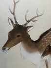 Antique Japanese Watercolor Painting Two Deer Trees Signed After Kawai Gyokudo
