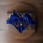 2 Piece Blue Velvet Belly Dance Costume With Silver Coin Accents Hip Scarf   Top