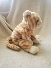 Ty Beanie Original Buddy Amber The Cat 1999 Kitten From Beanie Baby Collection 