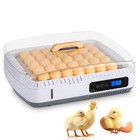 35 Eggs Incubator Automatic Digital Chicken Egg Hatcher W temperature Control Us