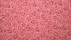 Rose Pink Tone On Tone Calico Vintage Tiny Floral Doll Quilt Fabric 3 Yards