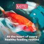 Kaytee Koi s Choice Koi Floating Fish Food 10 Lb Bag