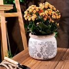 Grey Ceramic Ice Crack Flower Pot With Drainage Holes  Vintage Rustic Planter
