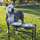 Stainless Steel Elevated Dog Bowls Raised Pet Feeder Cat Food Water Diner Stand