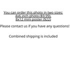 Photo Sexy Woman Bikini Model Panty Hose Long Legs 4x6 In  8x12in Glossy Print