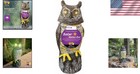 Realistic Plastic Owl With Frightening Sound