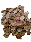 100pc Dried Indian Almond Leaves 10-15cm Catappa Ketapang For Shrimp  Aquarium