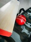 English Willow Cricket Bat Grade-1 Free Leather Ball  sticker   Nature India 