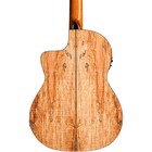 Cordoba C5cet Thinbody Spalted Maple Nylonstring Ae Guitar Gloss