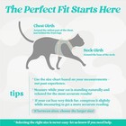 Rabbitgoo Pet Cat Harness And 59  Leash Escape Proof Adjustable Vest For Cats Xs