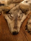 Vintage Alaskan Headdress