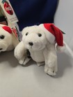 Vintage Lot Of 6 Coca-cola Polar Bear Plush Stuffed Animals Various Sizes