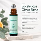 Eucalyptus Citrus Blend Oil Roll-on 10ml Pure Natural Aromatherapy