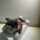 Mcdonalds Teenie Beanie Babies Nanook The Husky 11-21-96 P v c Pellets 