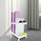 Multifunction Storage Rack Yoga Mat Dumbbell Gym Workout Equipment Holding Cart