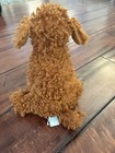 Jellycat London Brown Dog Plush Stuffed Animal Small 6-14 In 2023 Coo3lab