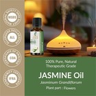 Jasmine Oil- jasminum     10ml To 30ml   100  Pure Natural   Therapeutic Grade