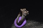 Ancient Islamic Bronze Ring Garnet Intaglio Arabic Kufic Script Signet Seal