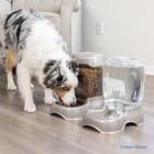 Pet Caf   Gravity Waterer Water Bowl Station For Dogs And Cats  3 Gallon  Blue