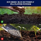 Ceylon Blue Butterfly Pea Flower Powder   Clitoria Ternatea   100  Natural