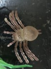 Vintage Creepy Crawly Soft Rubber Toy Bugs Lot Of 9 