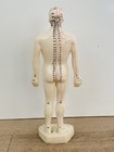 Vintage Tam   s Tong Ren Medical Rubber Acupuncture Practice Doll Figure 10 5   