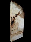 Xxl Insanely Curly Birdseye White Maple Burl Wood Slab Turning Wood  Curly Maple