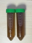100ml Phytoplankton Starter - Microscope Verified - Culture Starter