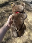 Vintage Steiff Original Teddy Bear 12    Button Ear Austria Tags 0202 36