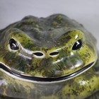 2 Mcm Vtg Arnels Euc Large Xl Ceramic Frog  baby Toad Garden Decor Green Statue