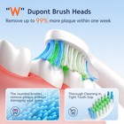 Fairywill Electric Toothbrush Sonic Toothbrush Usb Rechargeable 8 Heads 5 Modes
