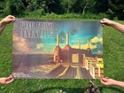 Vintage Pink Floyd    animals    Columbia Records Promotional Album Poster P-273