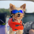 Dog Sunglasses Small Breed  Dog Goggles Uv Protection  Cycling Eye Protection Fo