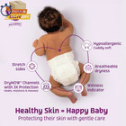 Dry   Gentle Diapers Size 8  64 Count  select For More Options 