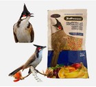 Bird Food Red-whiskered Bulbul Zupreem Fruitblend Fruit Flavor Natural 100g X 3
