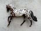 Breyer Breyerfest Horse  711396 Danash   s Northern Tempest Appaloosa Dani Dark Sr