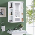 Bathroom Wall Mounted Cabinet Medicine Storage Organizer With Mirror Single Door