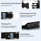 Light Up Dog Collar Lights For Night Walking - Led Dog Collar Light Rechargeable